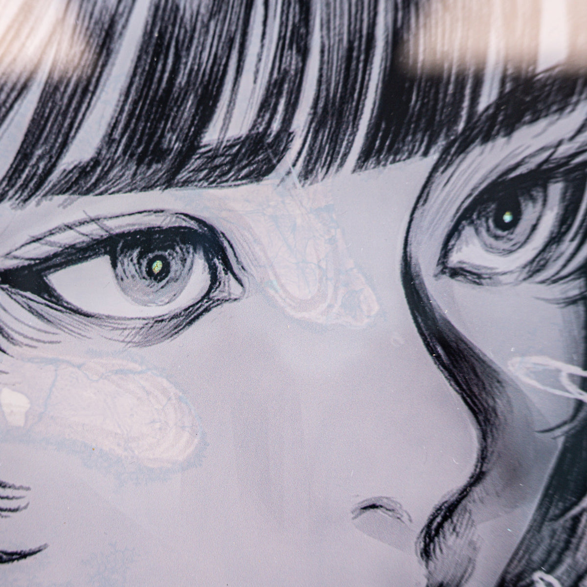 wataboku, Hikari – detail